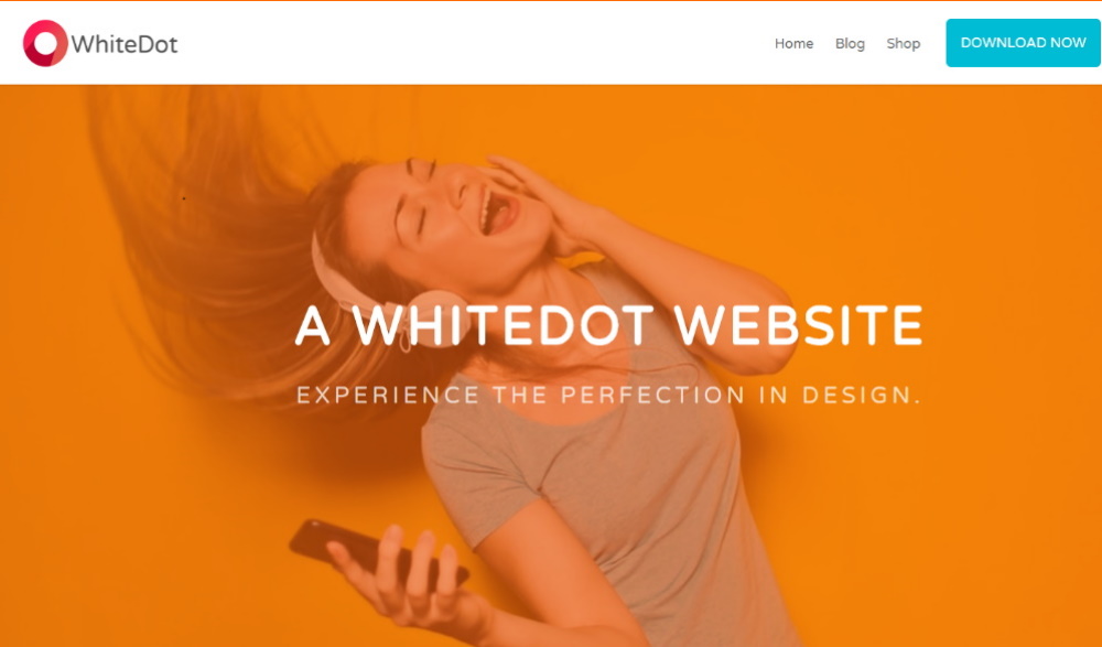 WhiteDot Layout