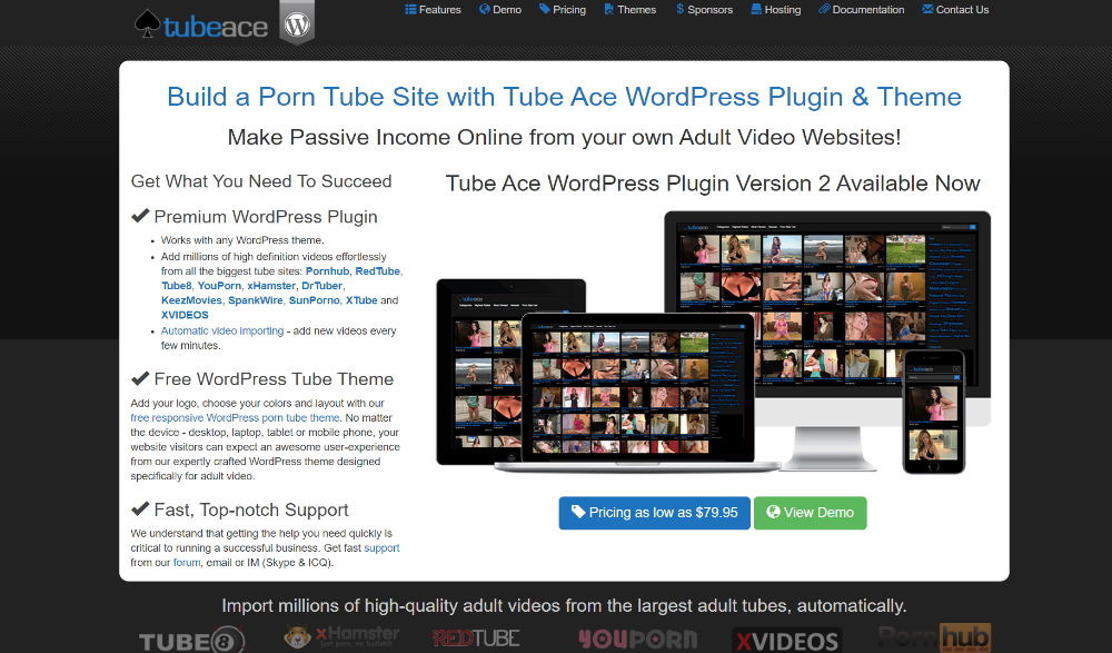 Tube Ace WordPress Plugin Theme Layout